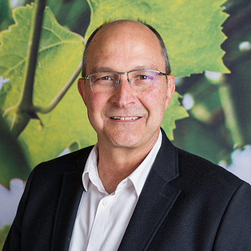 Wessel Lemmer